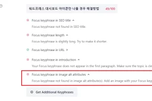 워드프레스 Focus keyphrase in image alt attributes 해결방법