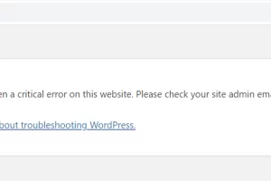 워드프레스 There has been a critical error on this website. 해결방법