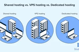 워드프레스 공유 호스팅 VPS 호스팅 차이