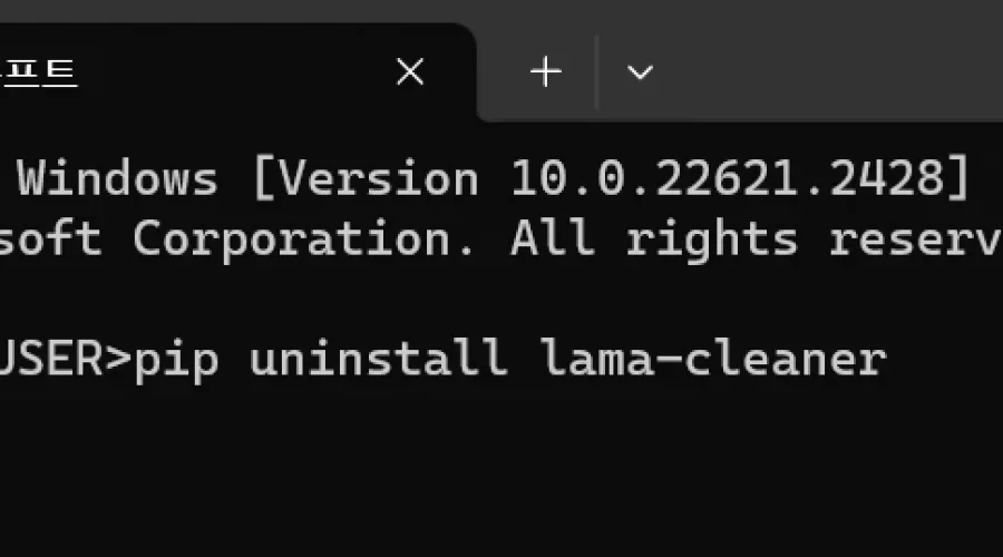 lama cleaner 삭제방법