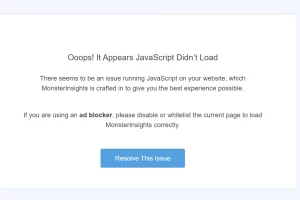 MonsterInsights JavaScript Didn’t Load 해결방법