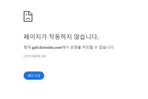 디시인사이드 페이지가 작동하지 않습니다. 해결방법