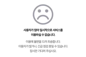 디시인사이드 사용자가 많아 일시적으로 서비스를 이용하실 수 없습니다 해결방법