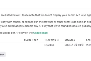 OpenAI API Key 삭제 안되는 경우 해결방법