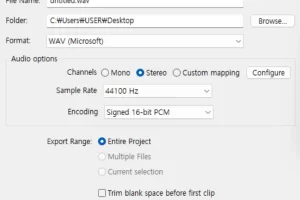 Audacity Export Audio시 파일 형식 꼭 붙여야 하나?