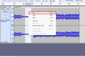 Audacity 녹음 특정 구간 자르는 방법