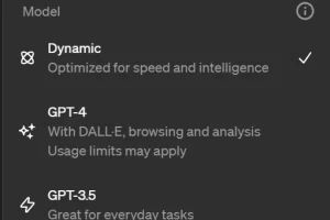 ChatGPT Dynamic Model 용도