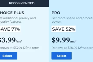 Bluehost Choice Plus VS Pro 얼마나 성능 차이가 날까?