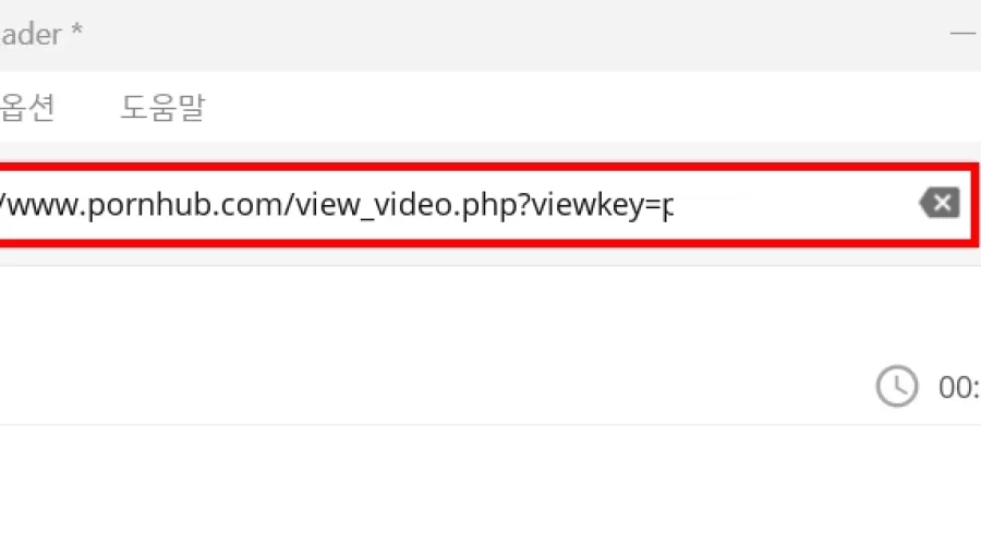 Pornhub 동영상 다운로드 방법