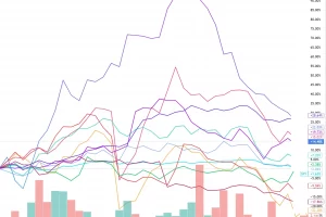 Seeking Alpha 2025 Top Stock 10 2월 실적 분석