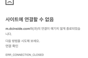 디시인사이드 ERR_CONNECTION_CLOSED 해결방법