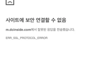 디시인사이드 ERR_SSL_PROTOCOL_ERROR 해결방법
