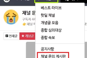 아카라이브 채널 문의 게시판 보는 방법