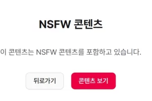 코네 NSFW 콘텐츠 흐릿하지 않게 자동으로 보는법