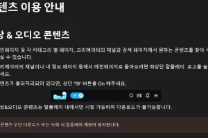 알플레이 녹화 불법일까?