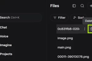 Grok Imagine 업로드한 이미지 동영상 삭제방법